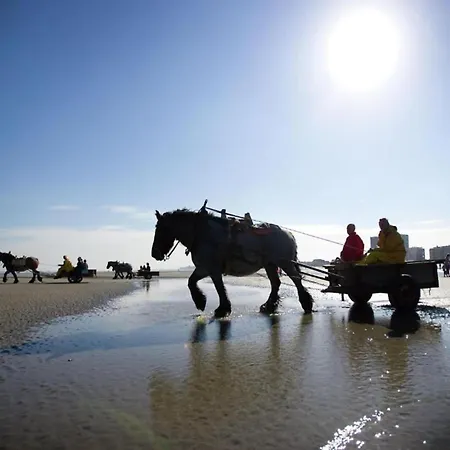 In With Stunning Sea Views *