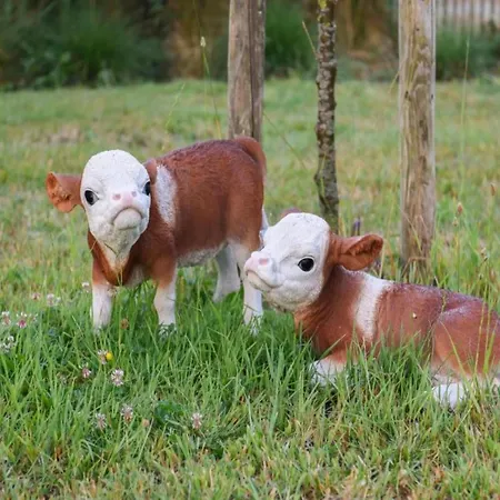 In With Stunning Sea Views Appartement *