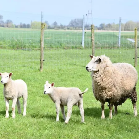 Appartement In With Stunning Sea Views *