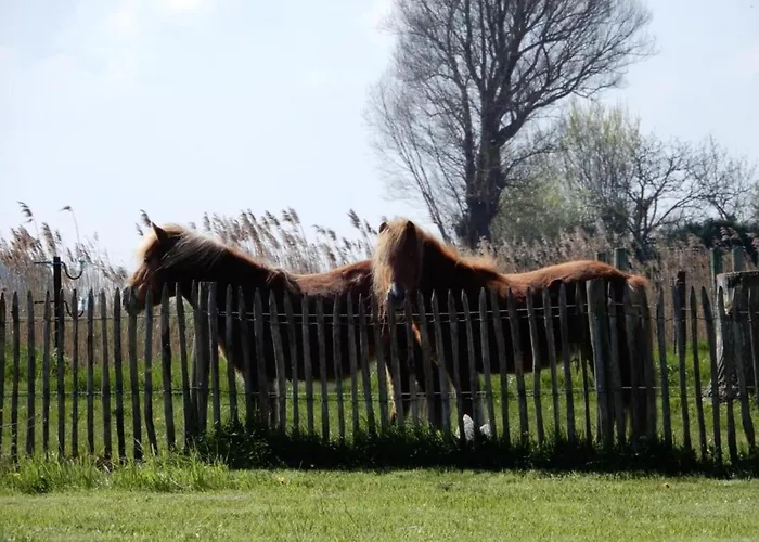 Apartment In With Stunning Sea Views